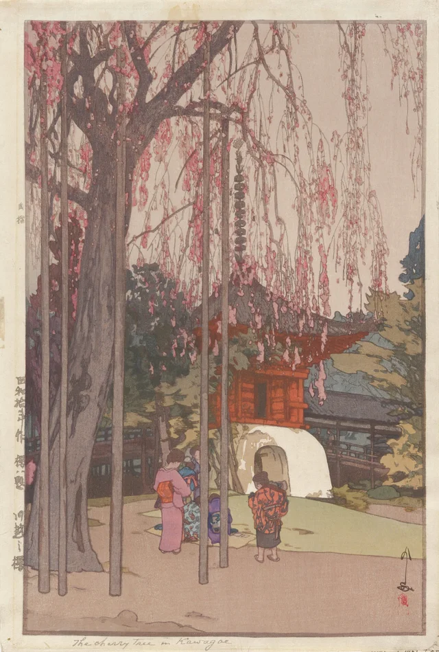The Cherry Tree at Kawagoe