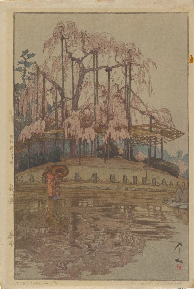 Spring Rain